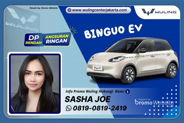 BINGUO EV