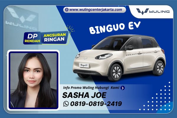 Binguo EV