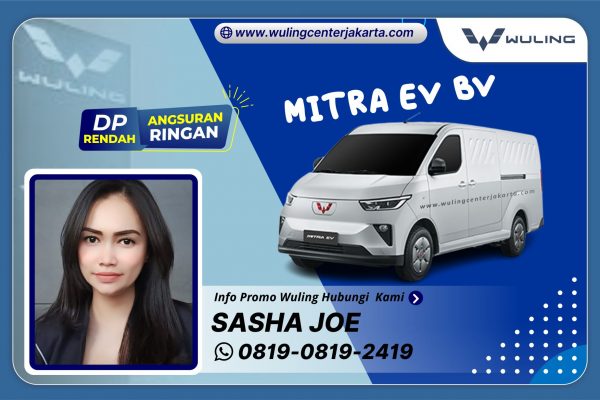 Mitra EV Blind Van
