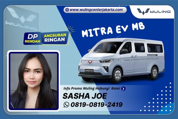 Mitra EV Minibus